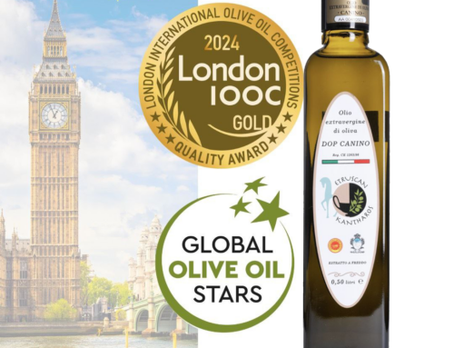 Olio DOP Canino Premiato: Medaglia d’Oro al London IOOC 2024