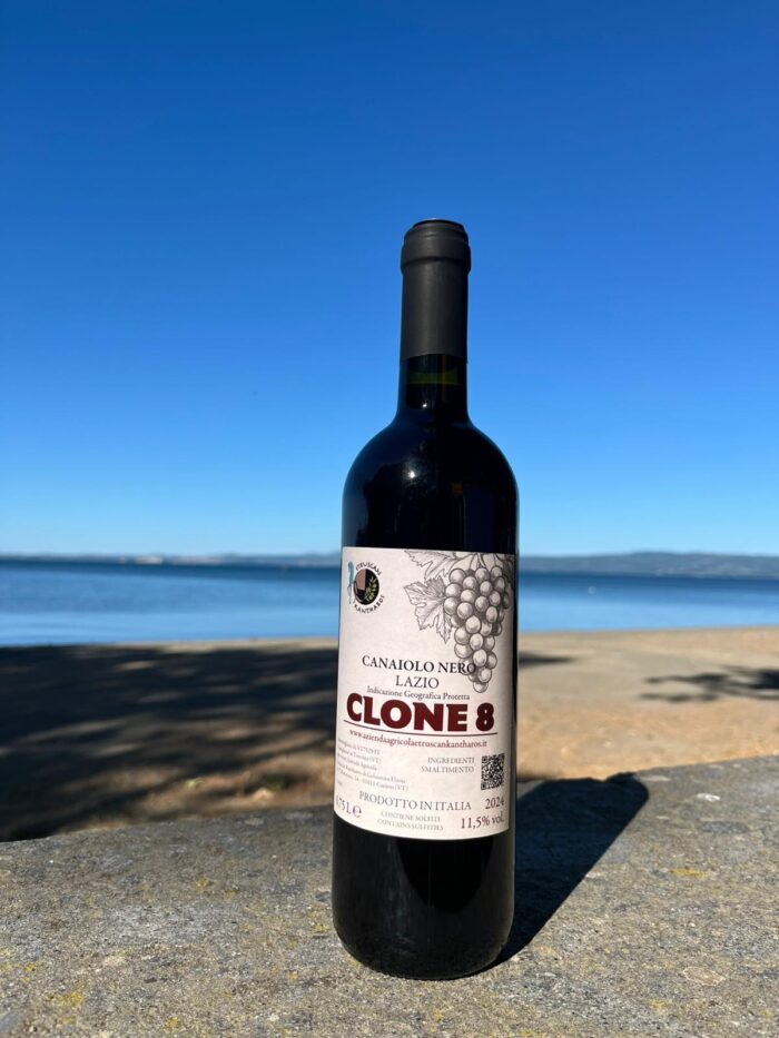 Clone 8